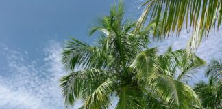 How to Play Beach Volleyball