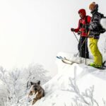 The Best Sports for winter